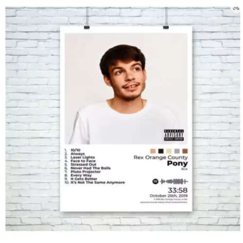 Pop Hip Hop Rapper Bad Bunny Poster – Hit Music Album Cover Wall Art Home Decor - Image 5